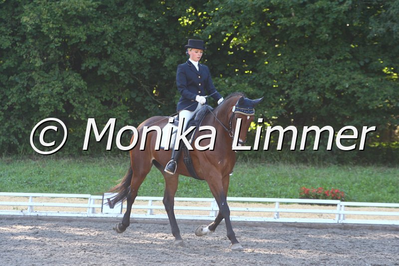 009M6253_Dolce Vita_Dressurpf_M.JPG